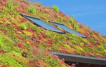 Wall Mead living roof systems